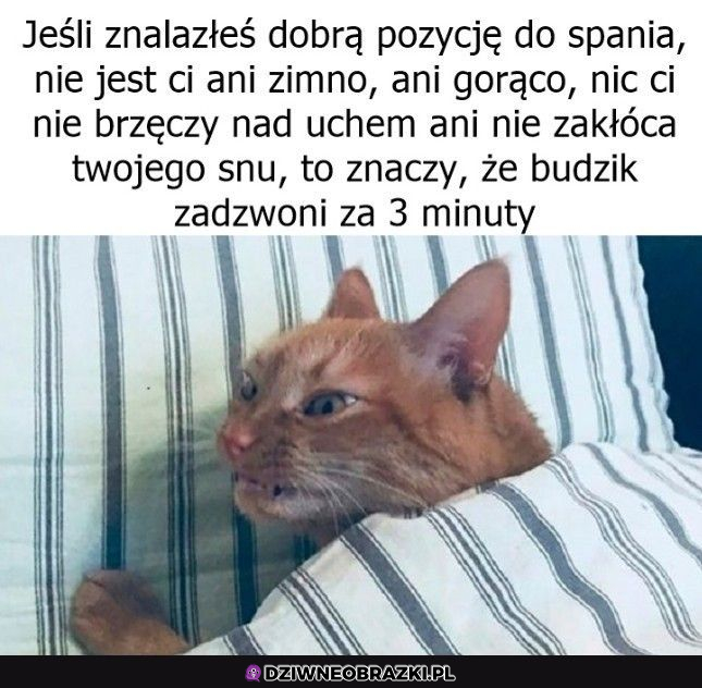 Kiedy dobrze się ułożyłeś