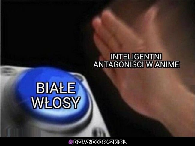 Zawsze