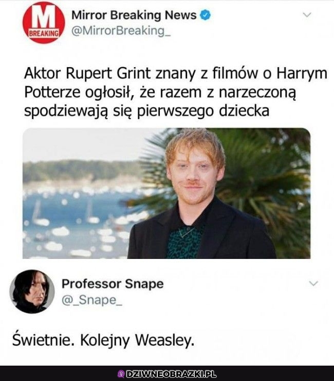 No świetnie
