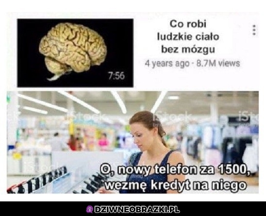 Brak mózgu