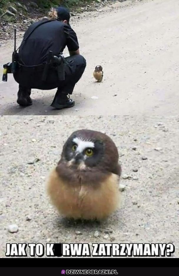 Ze jaka maseczka?