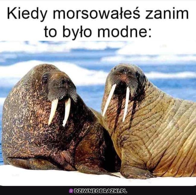 Kiedyś to było