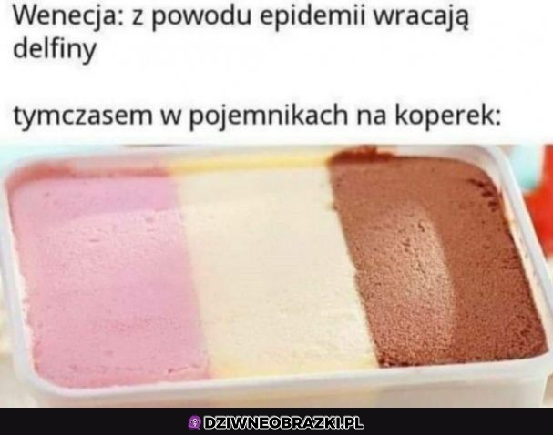 Wielkie powroty