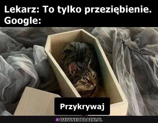 Przeziębienie