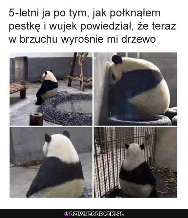 Tak było