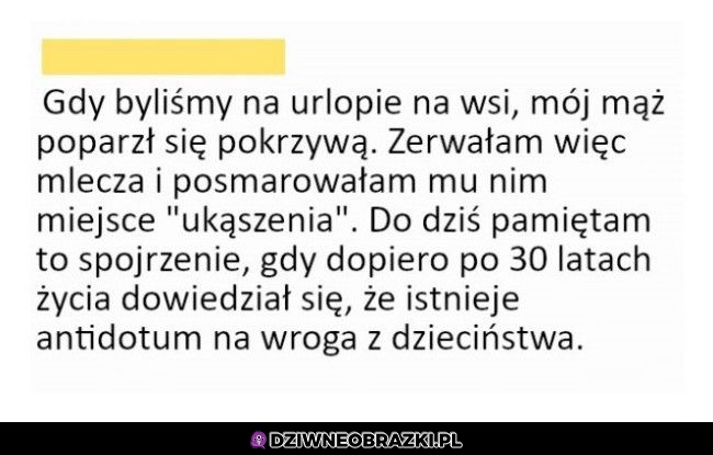 To działa?