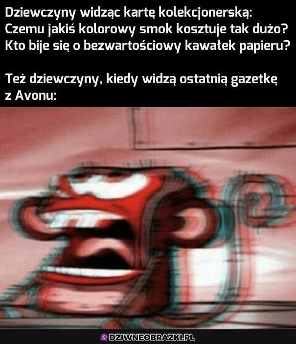Nie zrozumieją