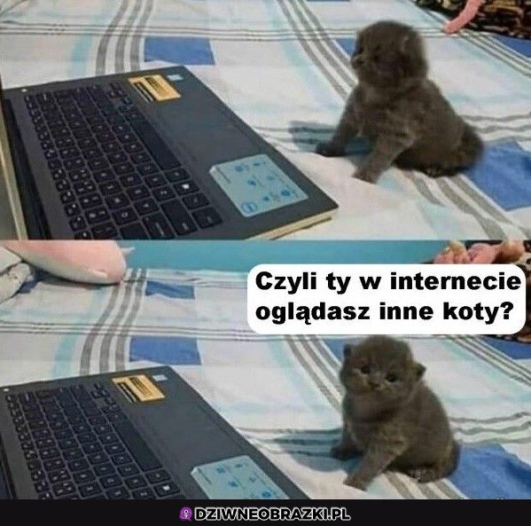 Jak możesz