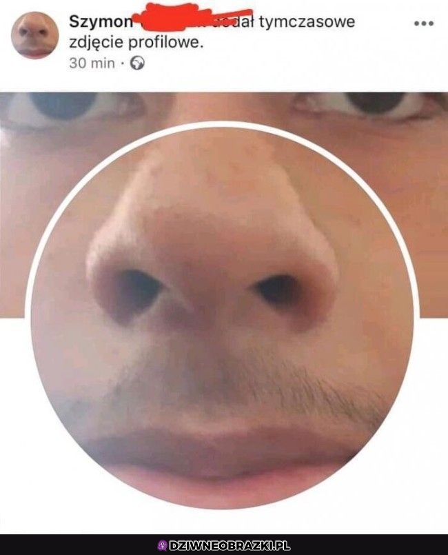 Profilowe