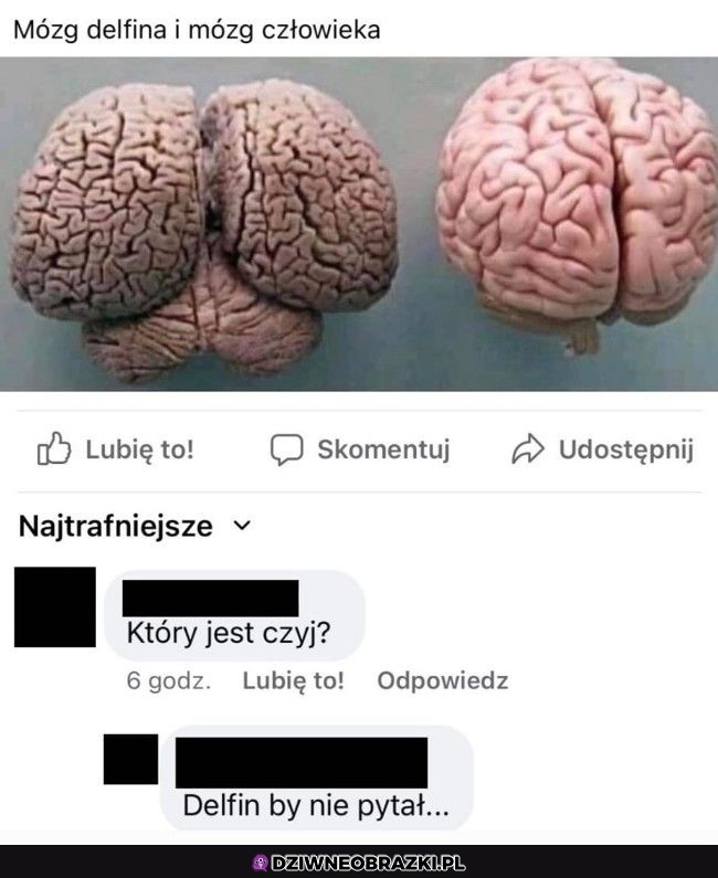 Porównanie