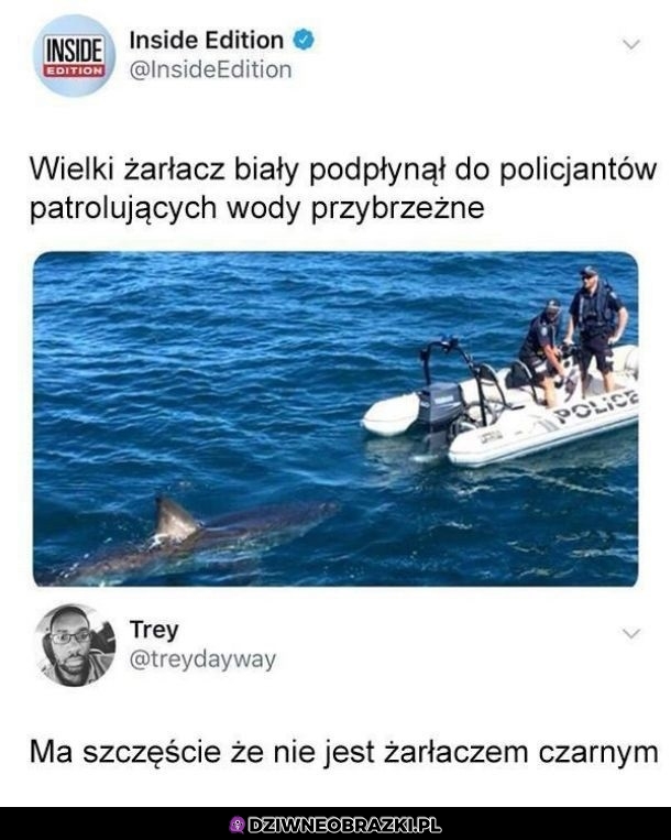 Żarłacz