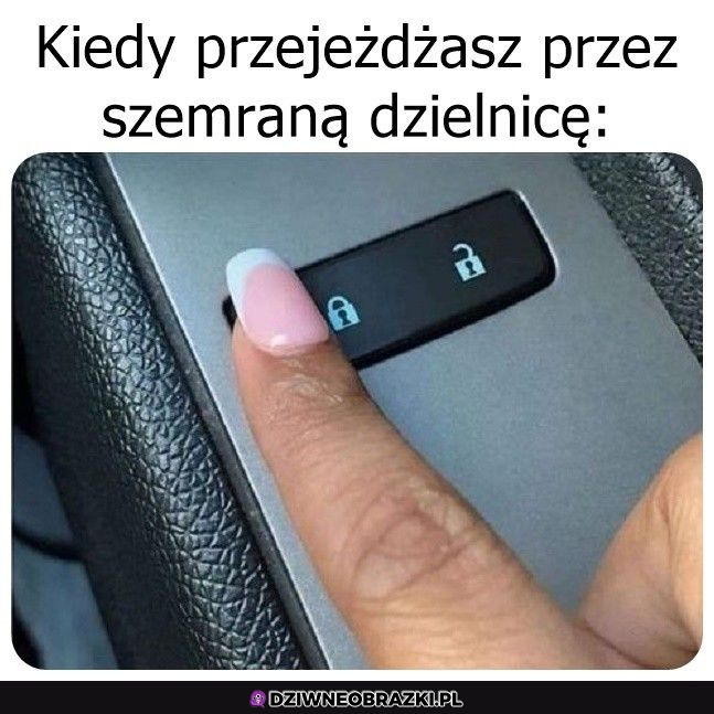 Przezorny