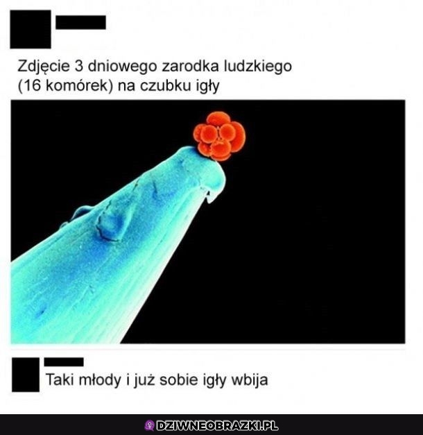 Od małego