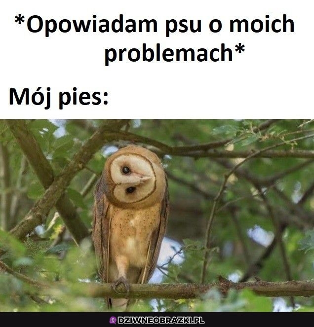 Ta reakcja