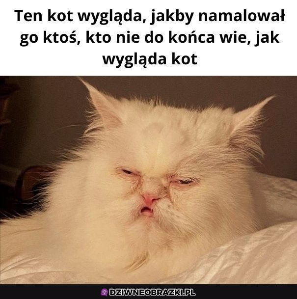 Dziwne kitku