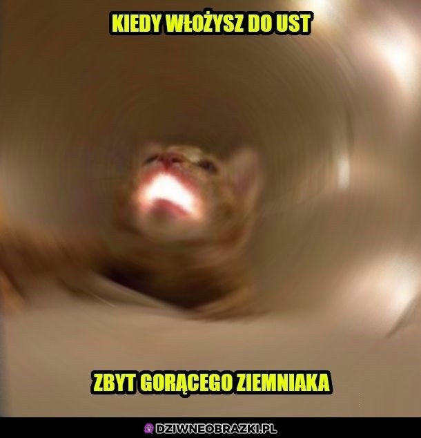 Ten moment