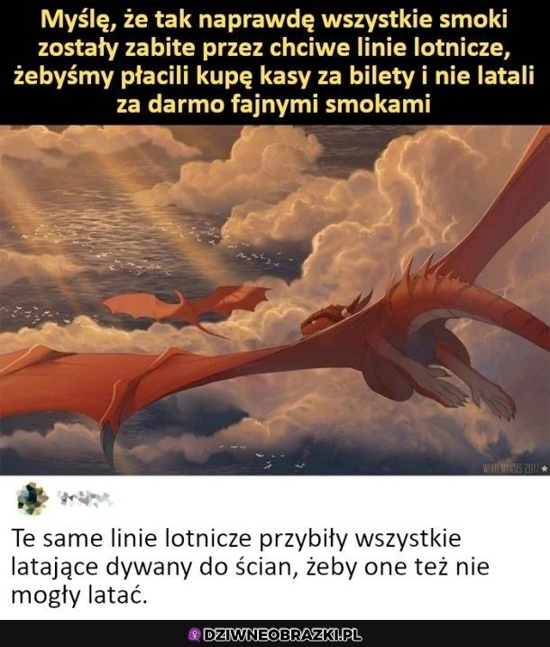 Złe linie lotnicze 