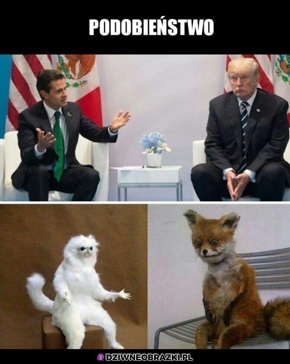 Podobni
