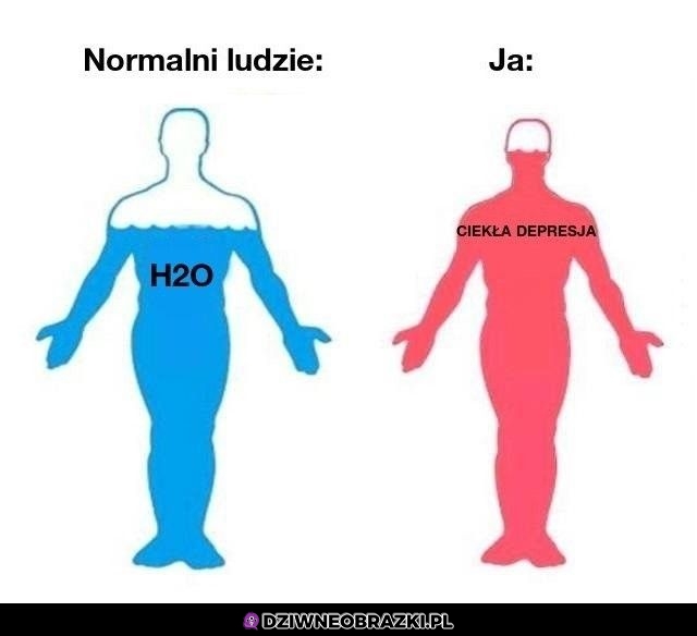 Z tego się składam