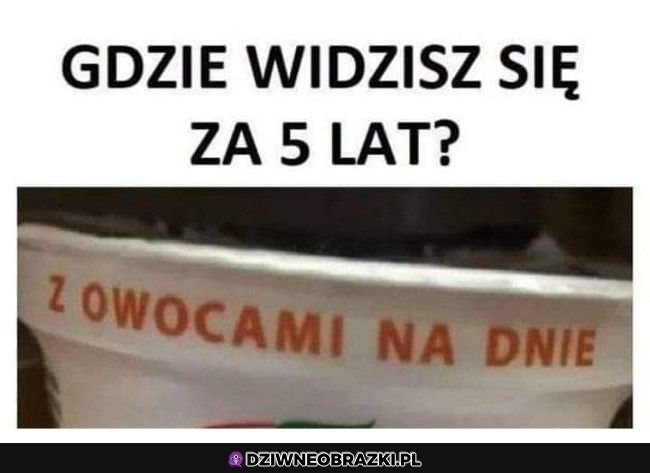 Właśnie tam