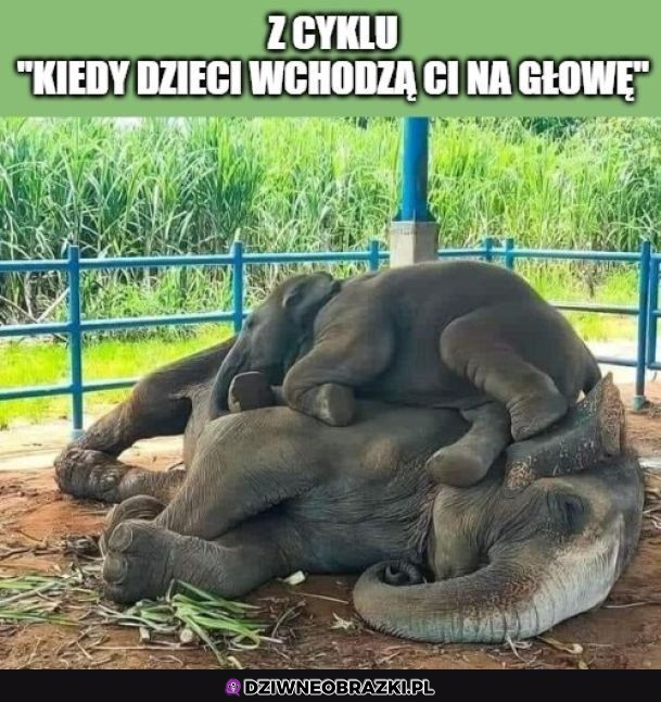 Czasem tak się czuje 