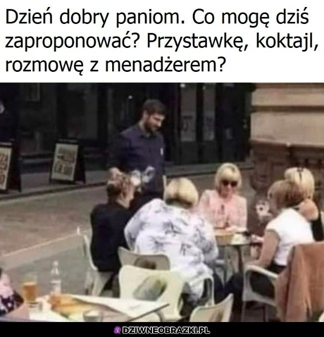 Co podać?