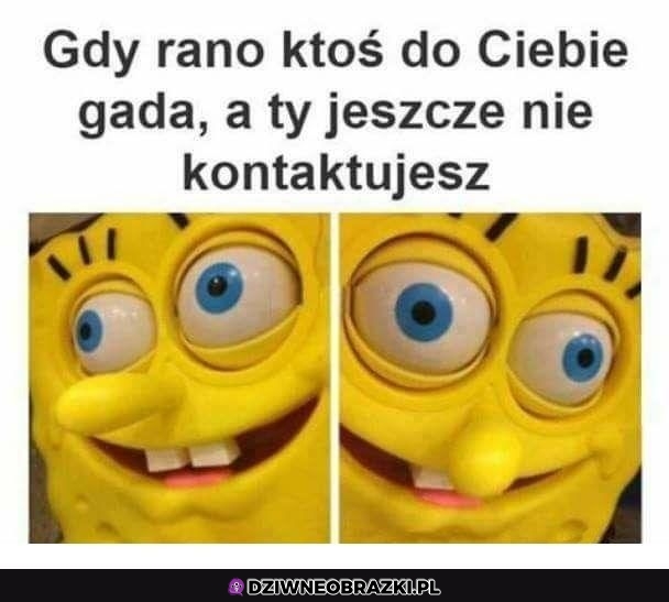 Ten moment rano