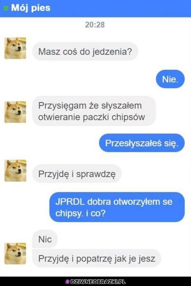 Masz coś do jedzenia?