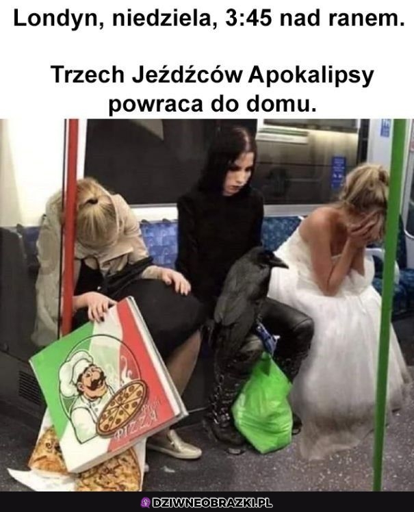 Powrót do domu