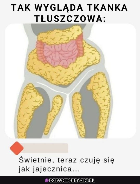 To nie tłuszcz to białka jajek :D 