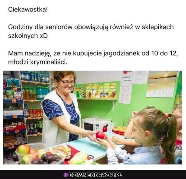 Brawo