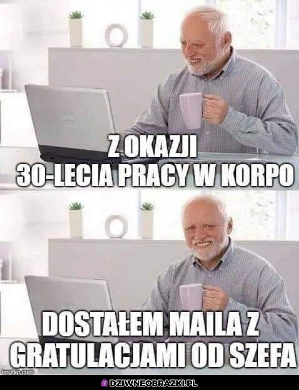 Praca w korpo