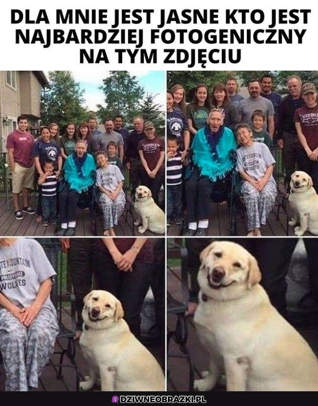 Najlepiej wyszedł