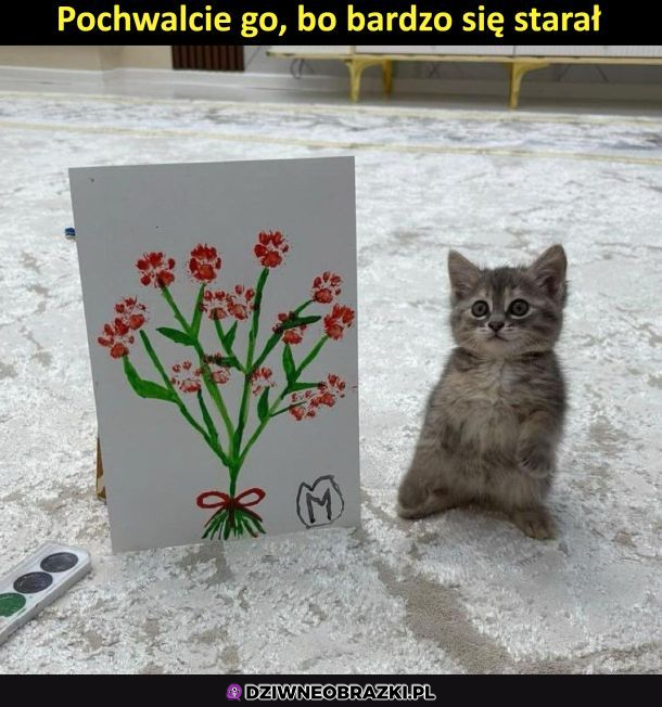 Julek, lat 3 