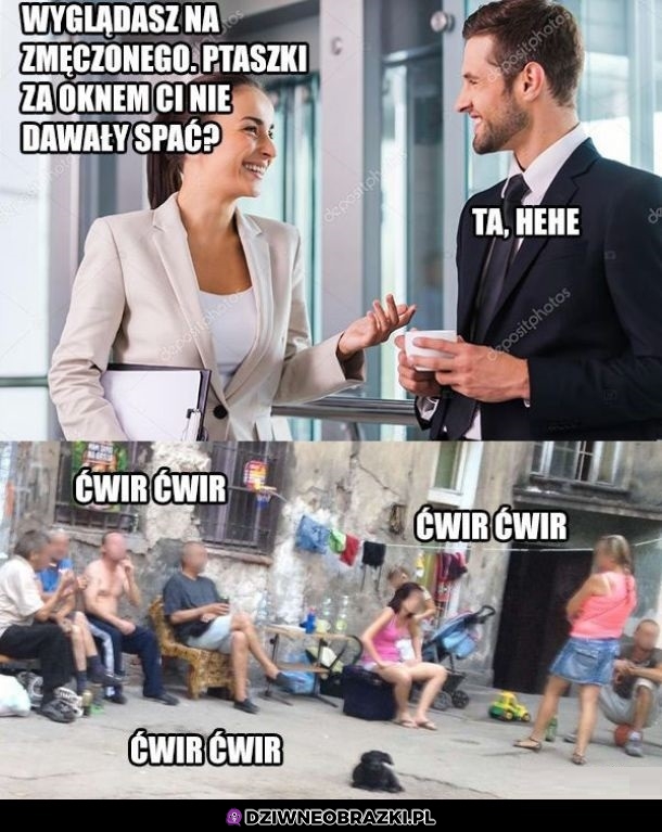 Ćwir