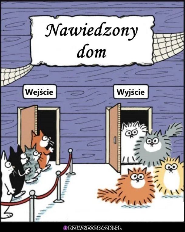 Chyba niezly