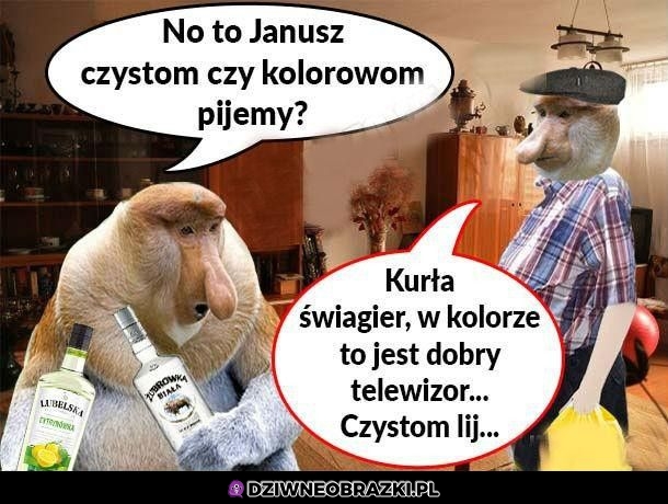 Poświąteczne Janusze