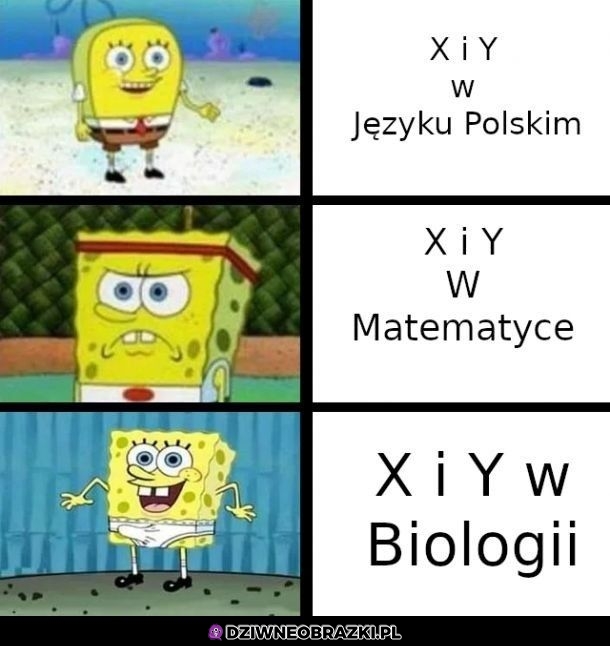 X i Y