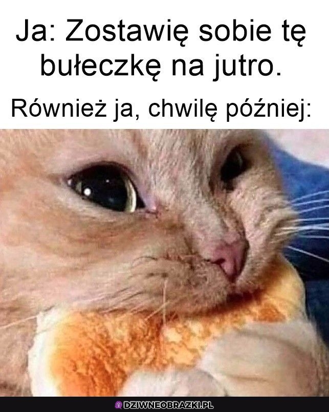 Jednak nie