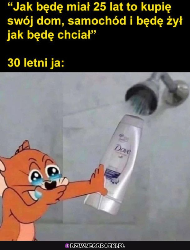 Warto mieć marzenia