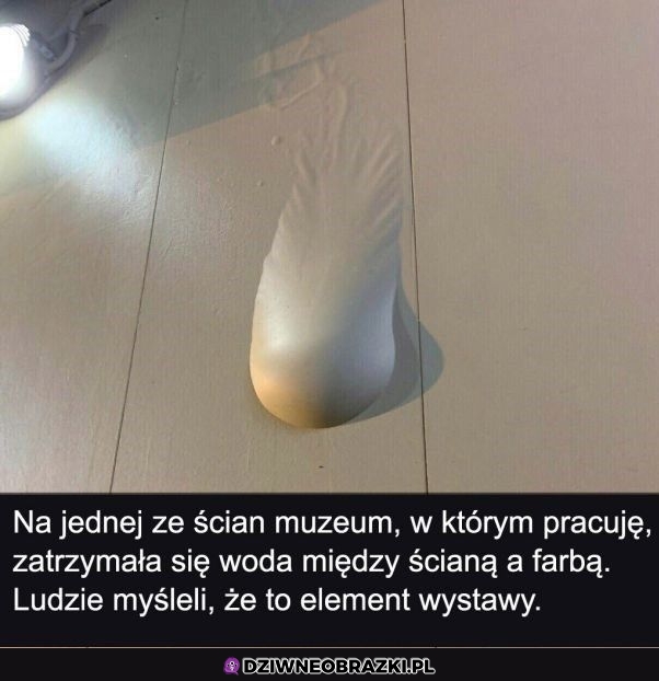 W sumie wygląda jak sztuka nowoczesna