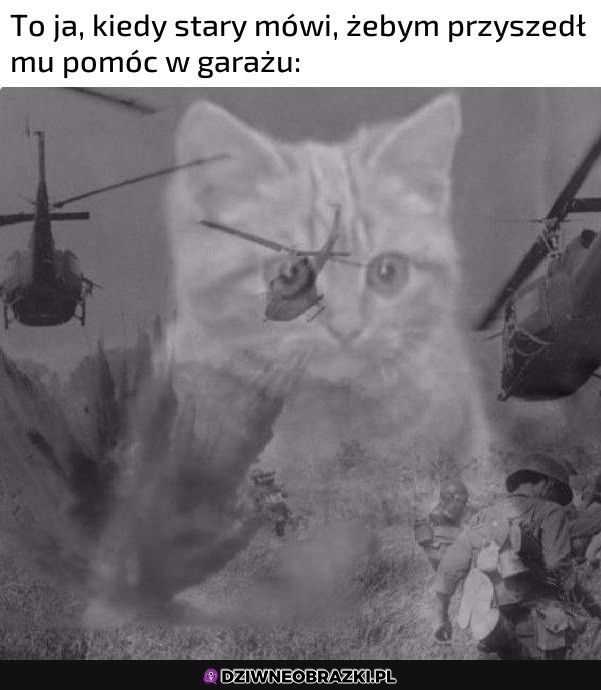 Ten moment