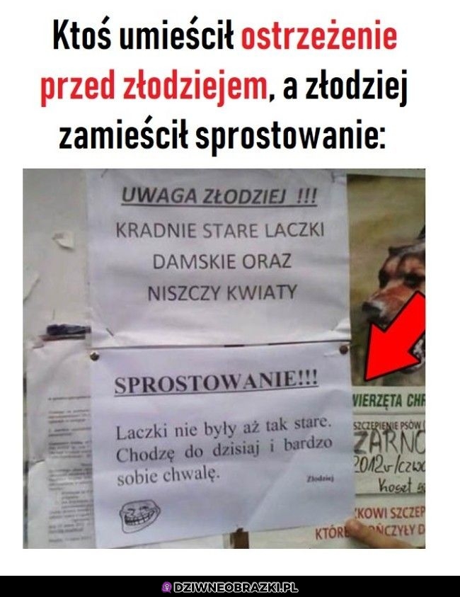 Sprostowanie