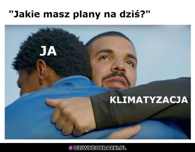 Plan na dzisiaj
