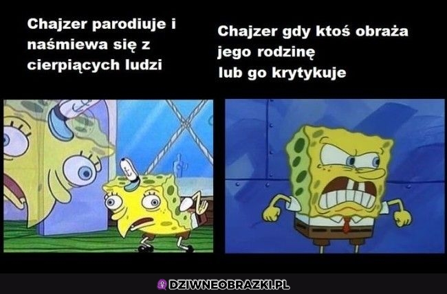 Chajzer