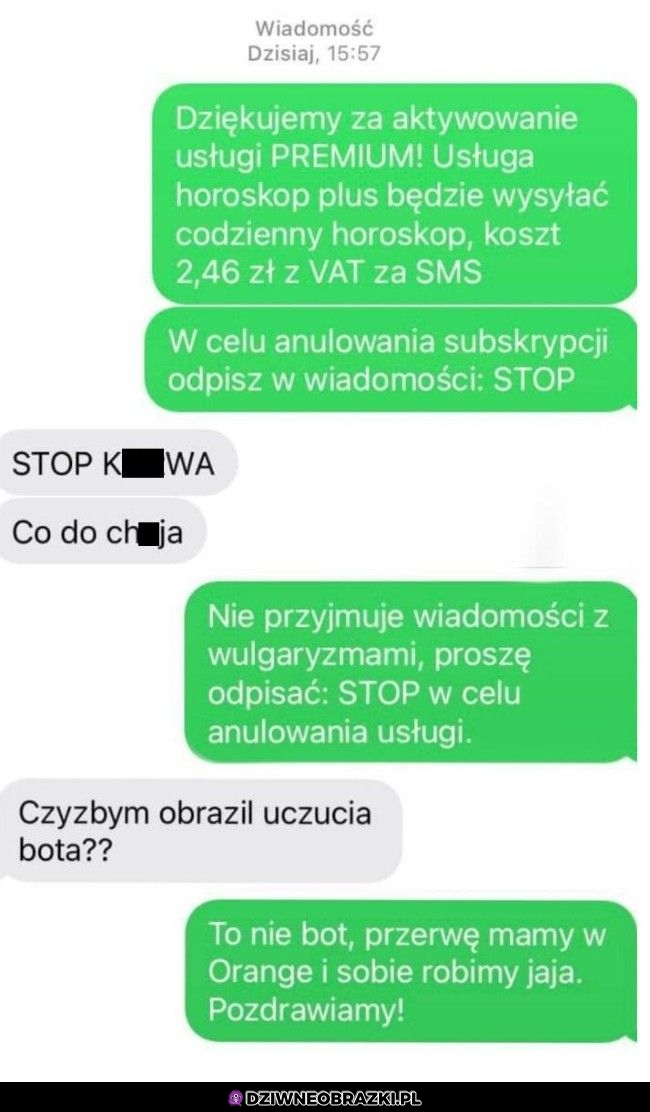 Kiedy myślisz, że to kolejny bot