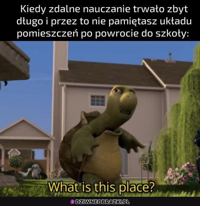 Ten moment