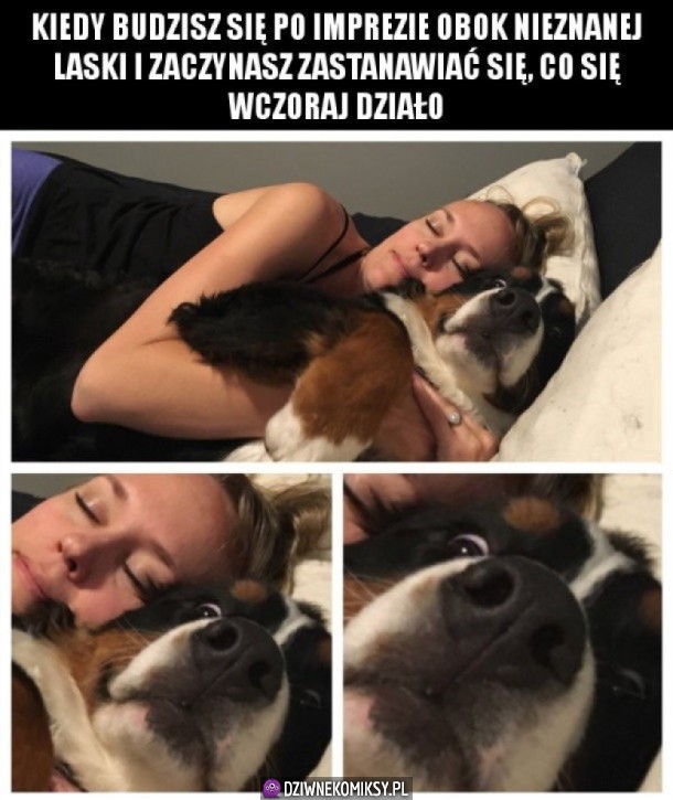 No nieźle