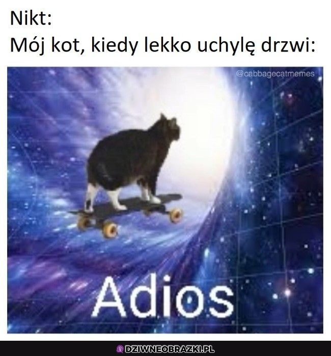 Kiedy tylko leciutko uchylę drzwi