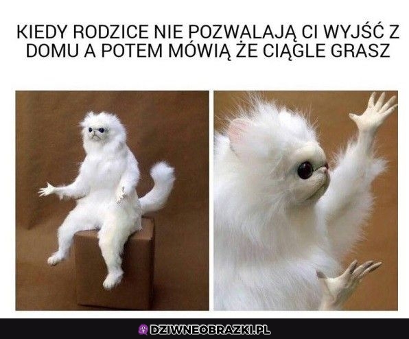 Ten moment